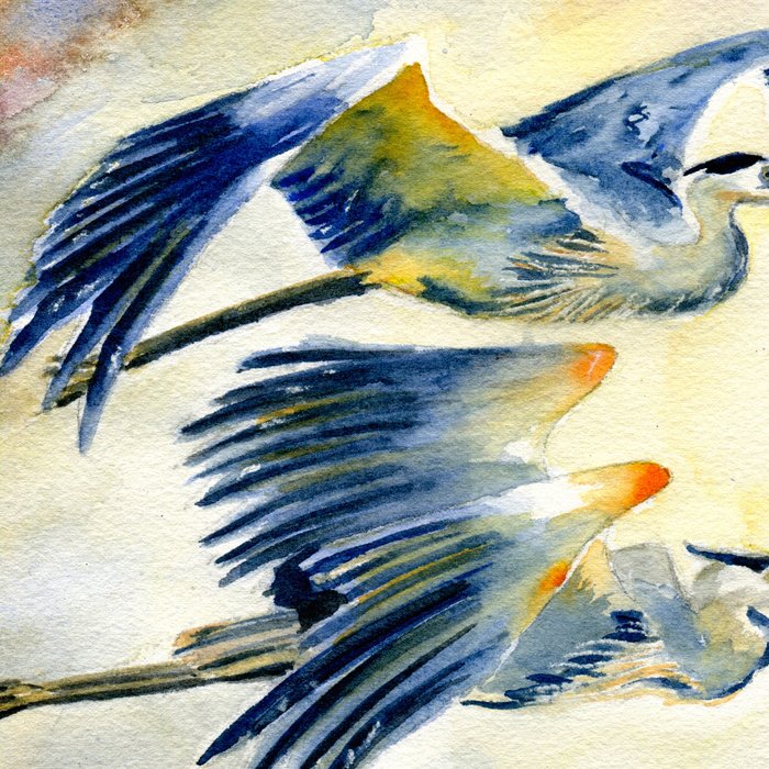 Flying Together - Great Blue Heron Coffee Mug Gallery Image 2
