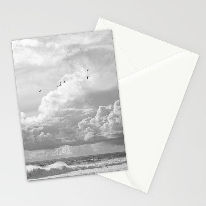 Seagulls in Nazaré Photo | Black and White Travel Photography in Portugal | Clouds and Waves Nature Art Print Stationery Card Gallery Image 2