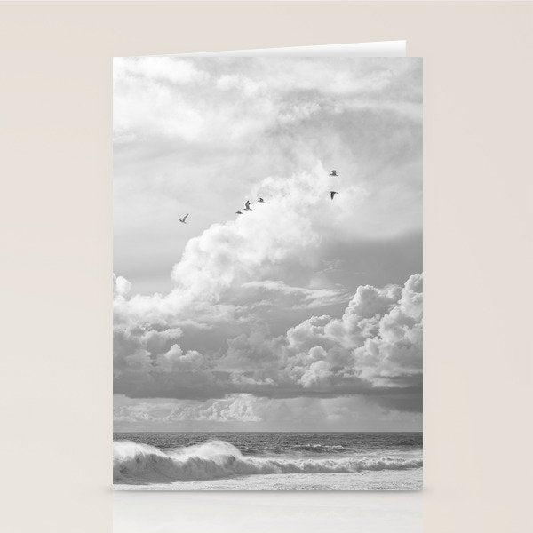 Seagulls in Nazaré Photo | Black and White Travel Photography in Portugal | Clouds and Waves Nature Art Print Stationery Card Gallery Image 2