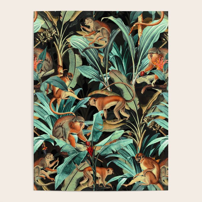 Monkey Tropical Jungle Poster Gallery Image 1