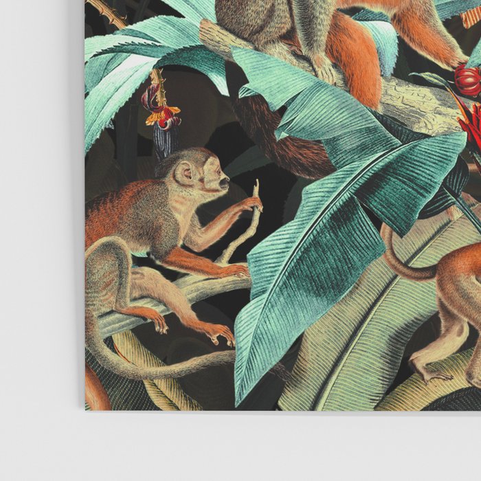 Monkey Tropical Jungle Poster Gallery Image 3