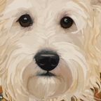 Klimt White Dog with Brown Eyes Coffee Mug Gallery Image 2