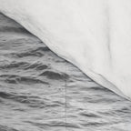 Surfers | Minimalist Black White Photography | Ocean Beach Travel Photo Comforter Gallery Image 4