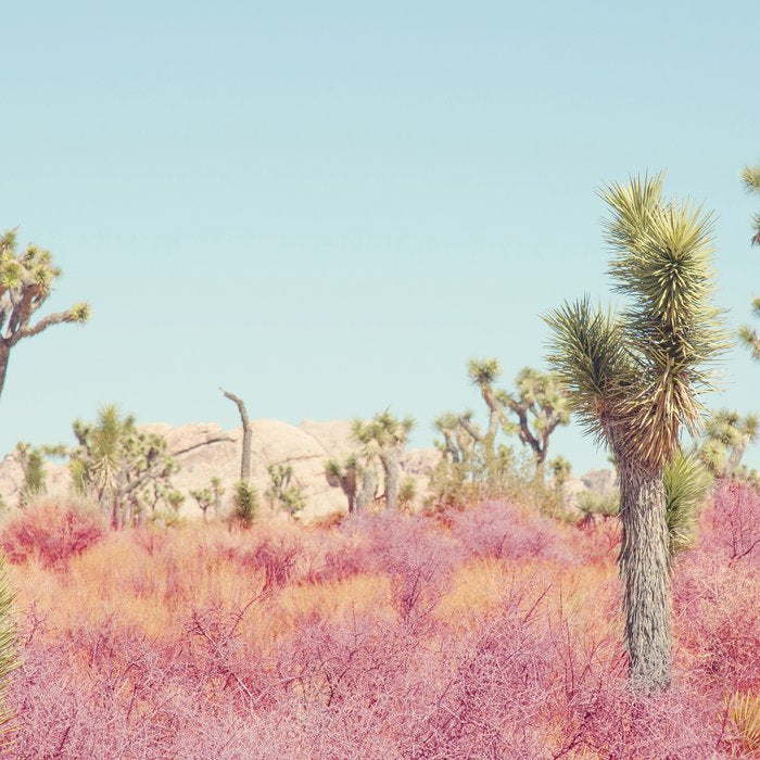 Surreal Pink Desert - Joshua Tree Landscape Photography Coffee Mug Gallery Image 2