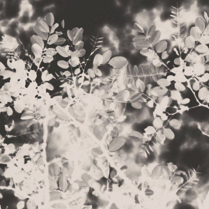 Midnight Summer Coffee Mug Gallery Image 2