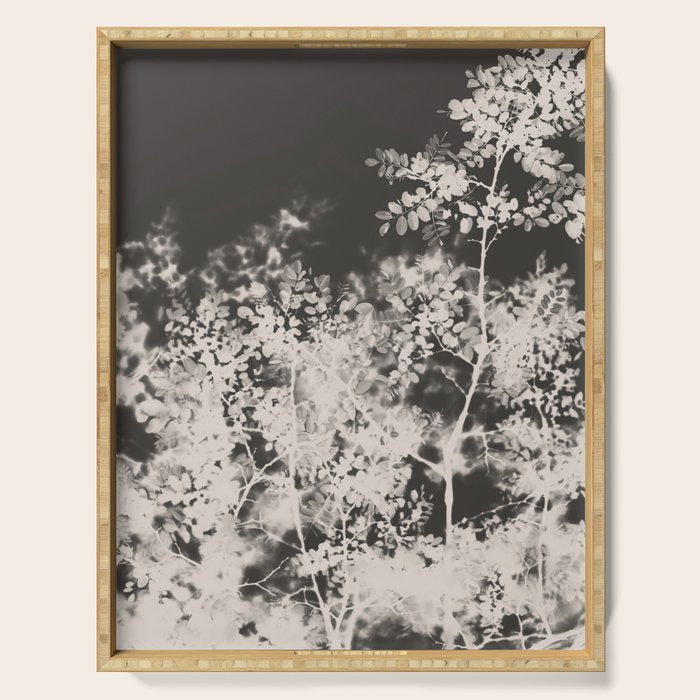 Midnight Summer Serving Tray Gallery Image 1