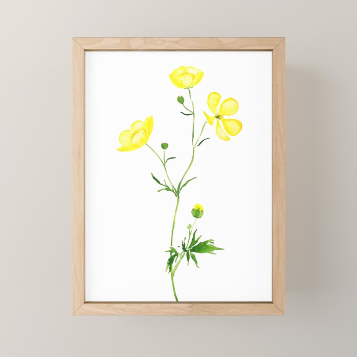 yellow buttercup flower watercolor Mini Art Print Gallery Image 1