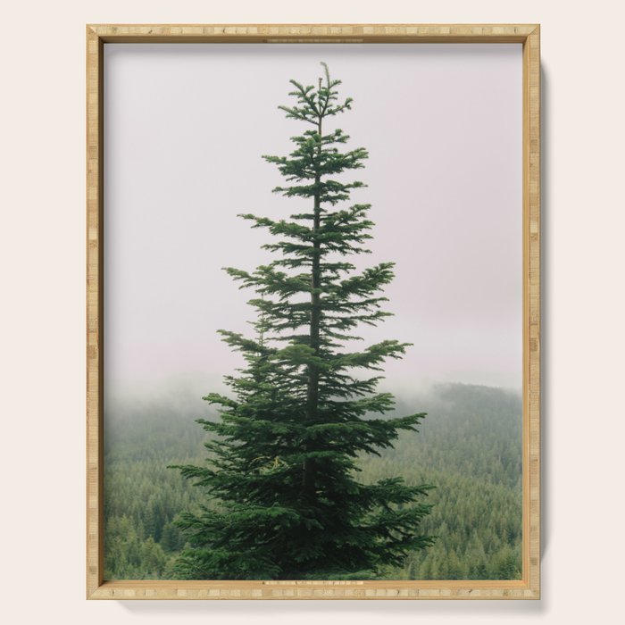 Single Tree Serving Tray Gallery Image 1
