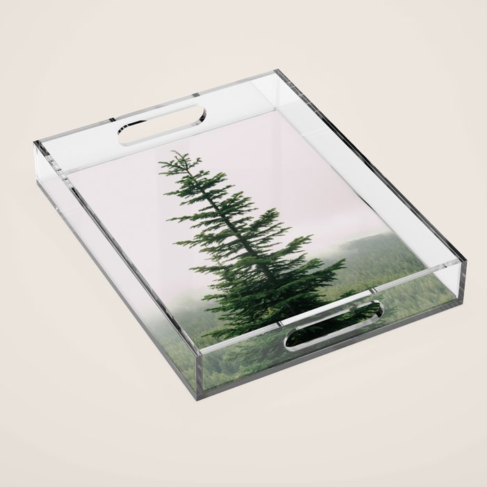 Single Tree Acrylic Tray Gallery Image 1