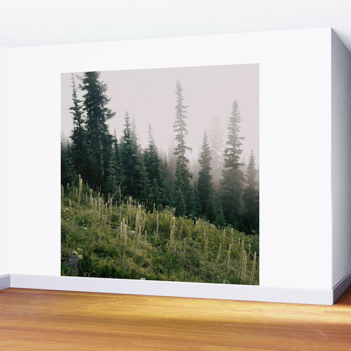Foggy Green Forest Wall Mural Gallery Image 2