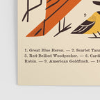 Midwest Birds Guide Poster Gallery Image 3