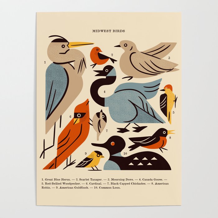 Midwest Birds Guide Poster Gallery Image 1