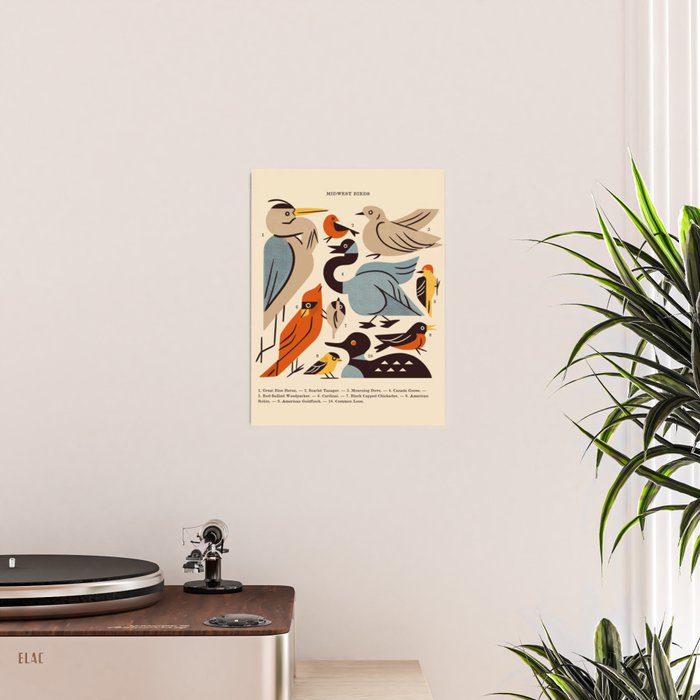 Midwest Birds Guide Poster Gallery Image 2