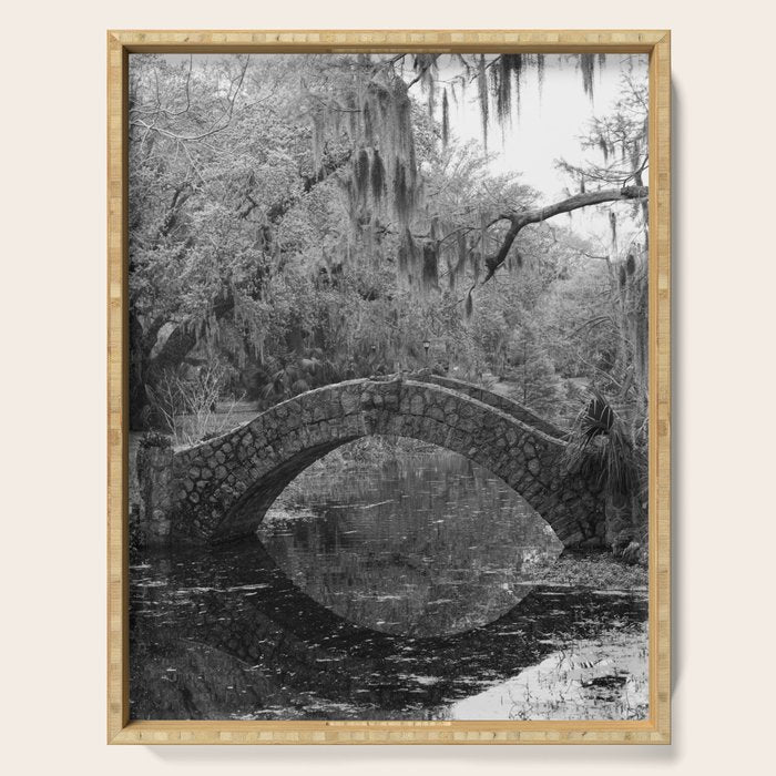 New Orleans City Park Photography Serving Tray Gallery Image 1