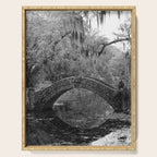 New Orleans City Park Photography Serving Tray Gallery Image 1