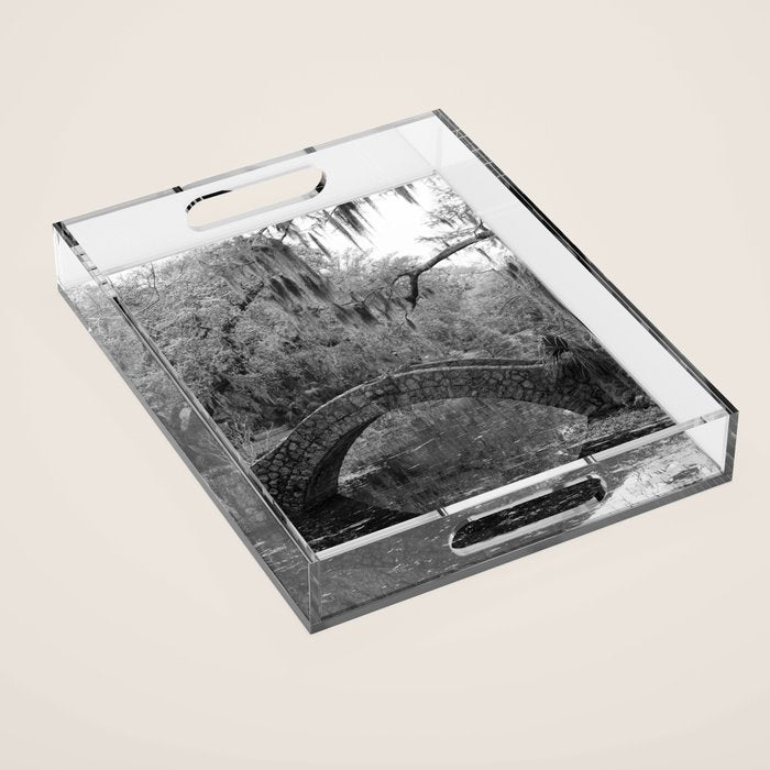 New Orleans City Park Photography Acrylic Tray Gallery Image 1
