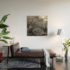 New Orleans City Park Photography Wood Wall Art Gallery Image 2