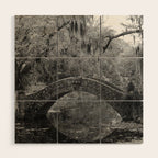 New Orleans City Park Photography Wood Wall Art Gallery Image 1
