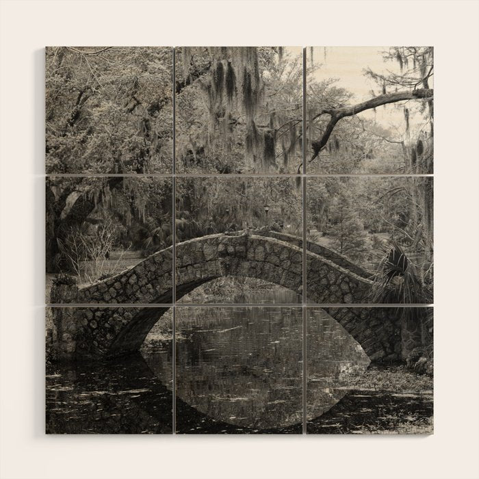 New Orleans City Park Photography Wood Wall Art Gallery Image 1