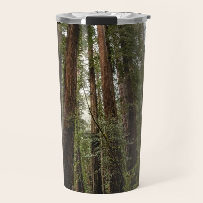 Redwood Forest Adventure VII - Nature Photography Travel Mug Gallery Image 1