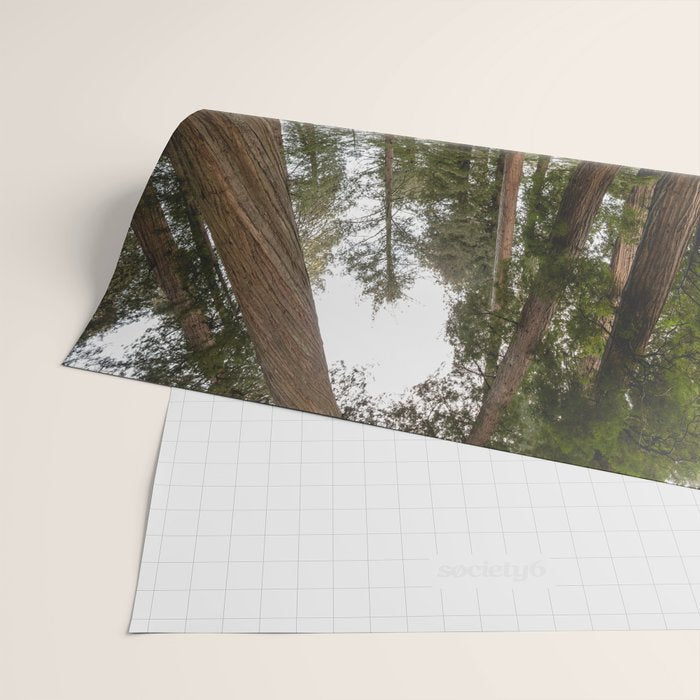 Redwood Forest Adventure VII - Nature Photography Wrapping Paper Gallery Image 2