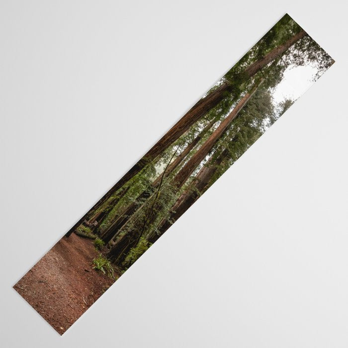 Redwood Forest Adventure VII - Nature Photography Table Runner Gallery Image 3