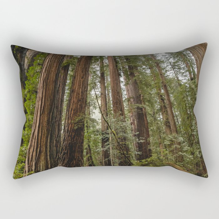 Redwood Forest Adventure VII - Nature Photography Rectangular Pillow Gallery Image 2