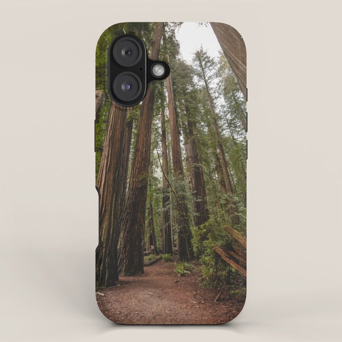 Redwood Forest Adventure VII - Nature Photography iPhone Case Gallery Image 1