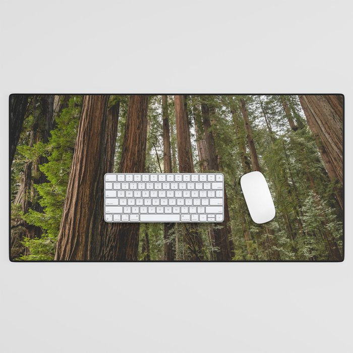 Redwood Forest Adventure VII - Nature Photography Desk Mat Gallery Image 1
