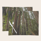 Redwood Forest Adventure VII - Nature Photography Placemat Gallery Image 1
