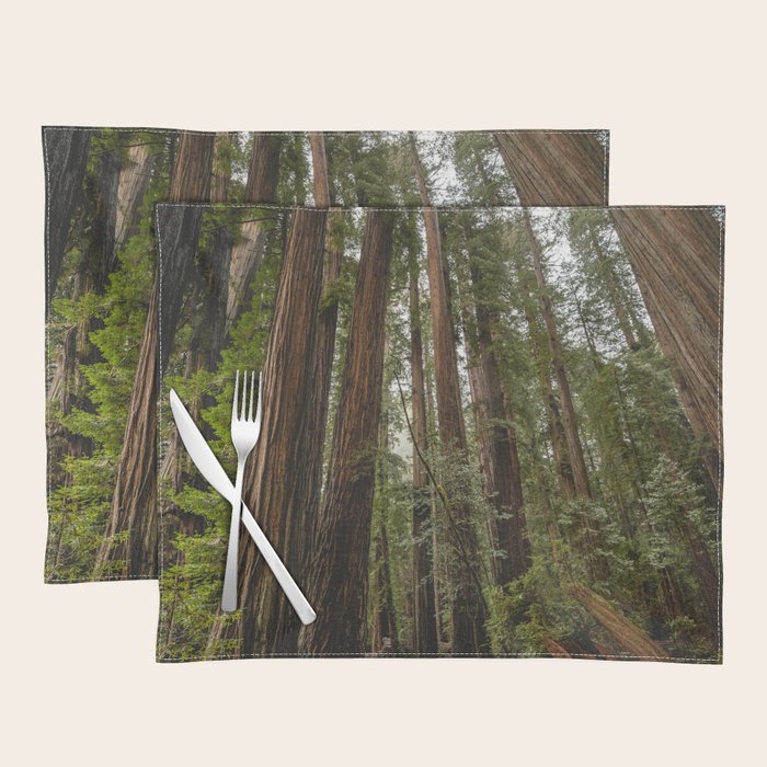 Redwood Forest Adventure VII - Nature Photography Placemat Gallery Image 1