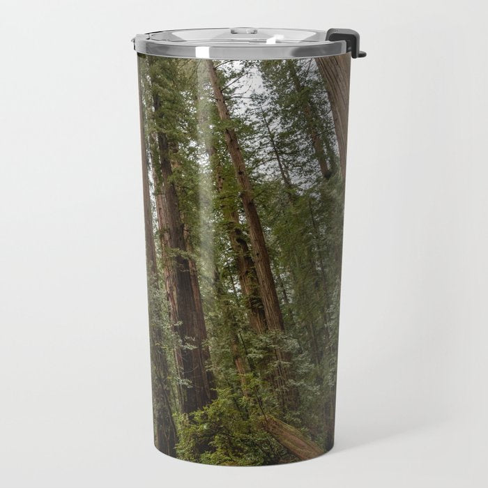 Redwood Forest Adventure VII - Nature Photography Travel Mug Gallery Image 2