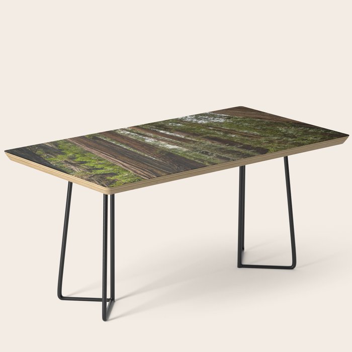Redwood Forest Adventure VII - Nature Photography Coffee Table Gallery Image 1