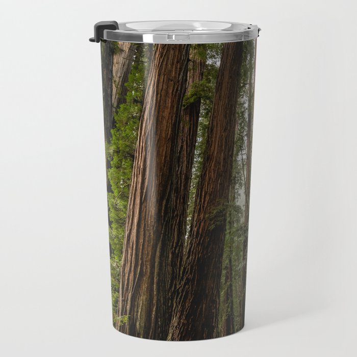 Redwood Forest Adventure VII - Nature Photography Travel Mug Gallery Image 3