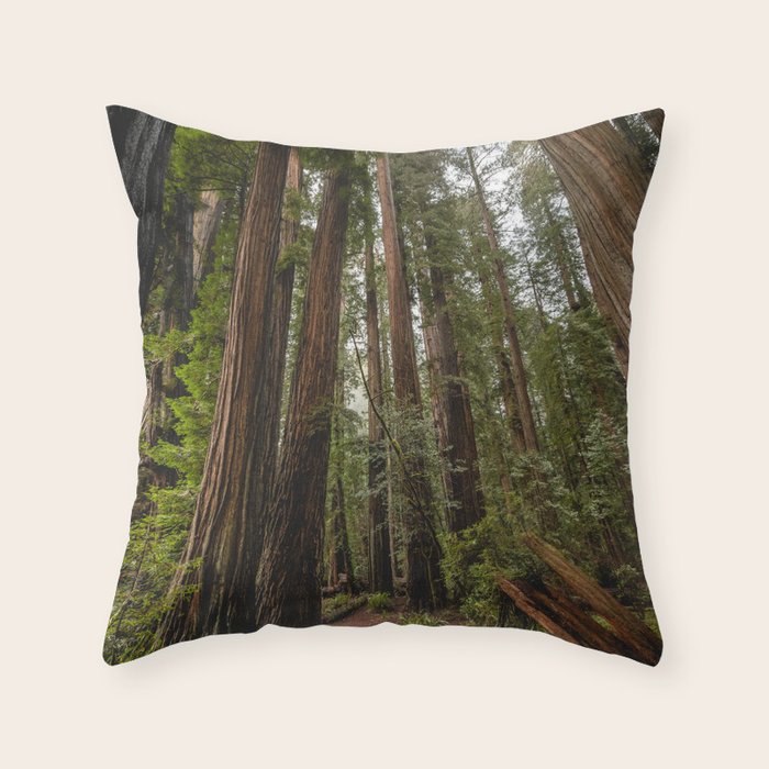 Redwood Forest Adventure VII - Nature Photography Throw Pillow Gallery Image 6