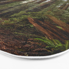 Redwood Forest Adventure VII - Nature Photography Bath Mat Gallery Image 3