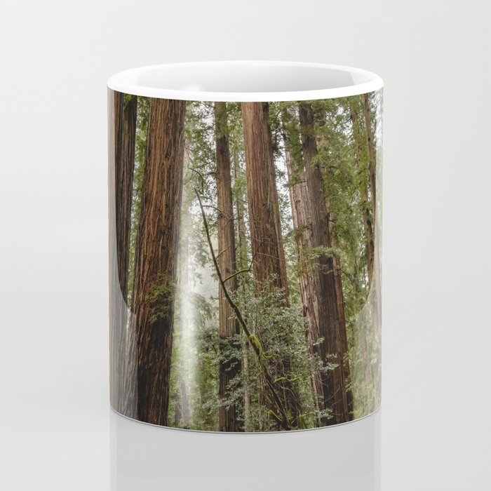 Redwood Forest Adventure VII - Nature Photography Coffee Mug Gallery Image 4