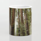 Redwood Forest Adventure VII - Nature Photography Coffee Mug Gallery Image 4