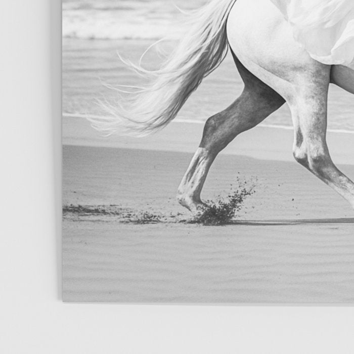 Boho Horse Riding Black White Beach Photography Poster Gallery Image 3