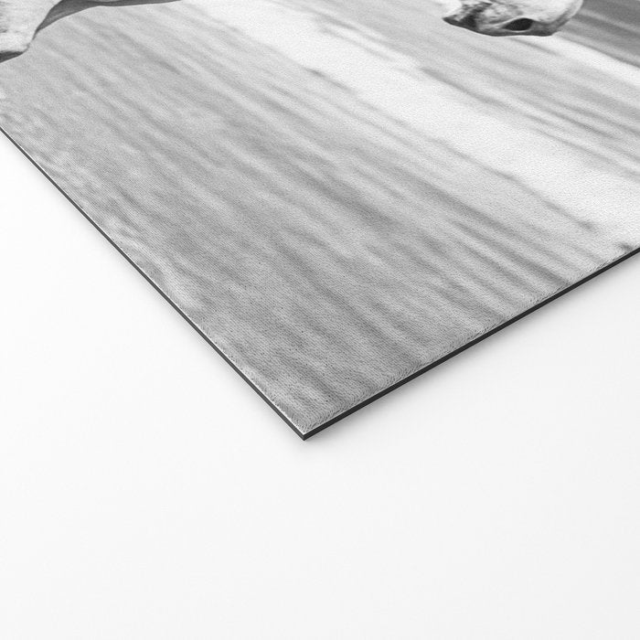 Boho Horse Riding Black White Beach Photography Welcome Mat Gallery Image 2