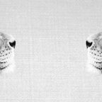 Lion Portrait - Black & White Coffee Mug Gallery Image 2