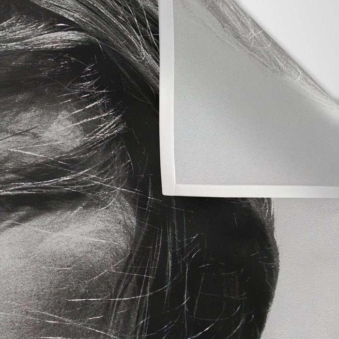 Brigitte Bardot Smoking a Cigarette, Black and White Photograph Wall Tapestry Gallery Image 3