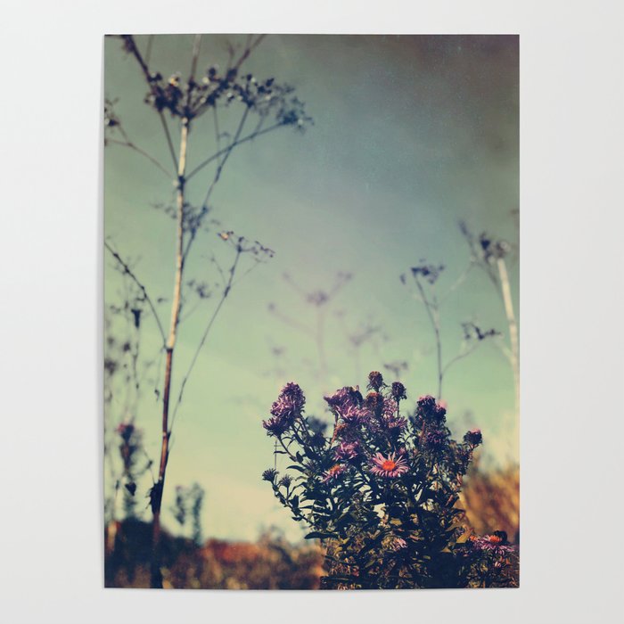 October Field Poster Gallery Image 1