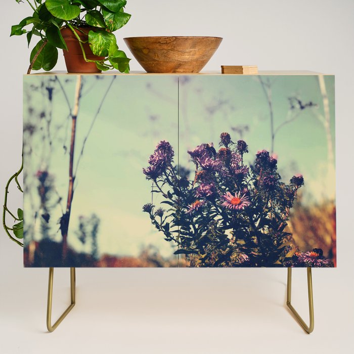 October Field Credenza Gallery Image 1