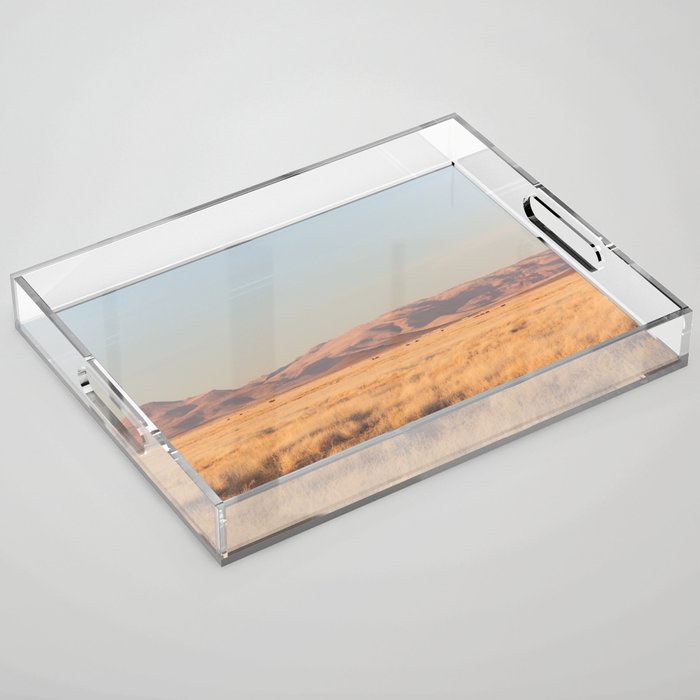 Home on the Range II Acrylic Tray Gallery Image 1