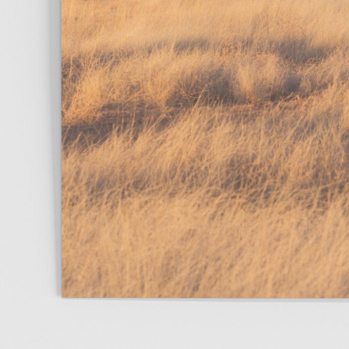 Home on the Range II Poster Gallery Image 3