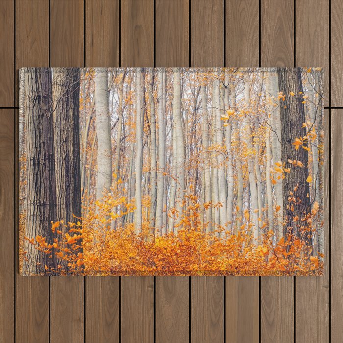 orange autumn Outdoor Rug