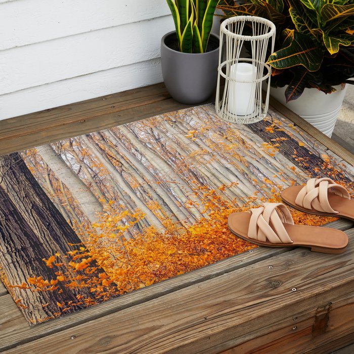orange autumn Outdoor Rug Gallery Image 2
