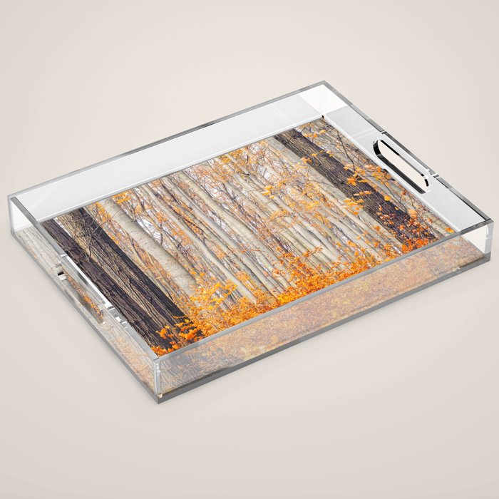 orange autumn Acrylic Tray Gallery Image 1