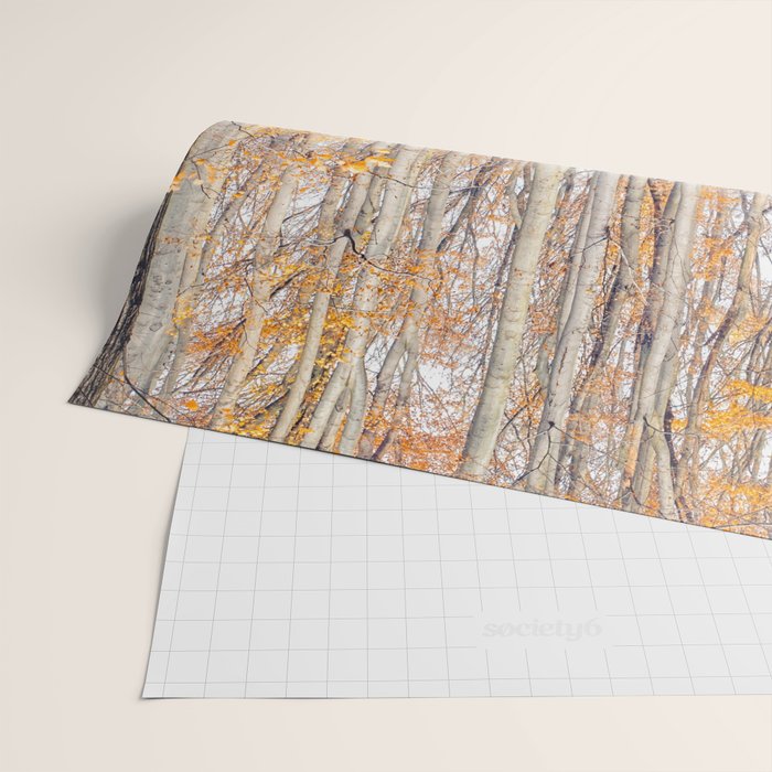 orange autumn Wrapping Paper Gallery Image 2